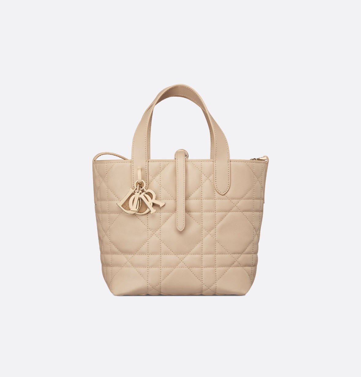 dior toujours small vertical tote handbag